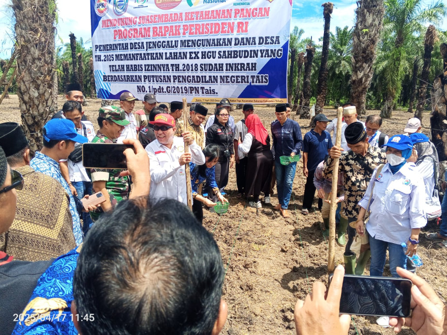 MENDUKUNG SWASEMBADA KETAHANAN PANGAN PROGRAM BAPAK PRESIDEN RI ,PEMERINTAH DESA JENGGALU MENGGUNAKAN DANA DESA TAHUN 2025  MEMANFAATKAN LAHAN EX HGU SAHBUDIN YANG TELAH HABIS IZIN NYA TAHUN 2018 